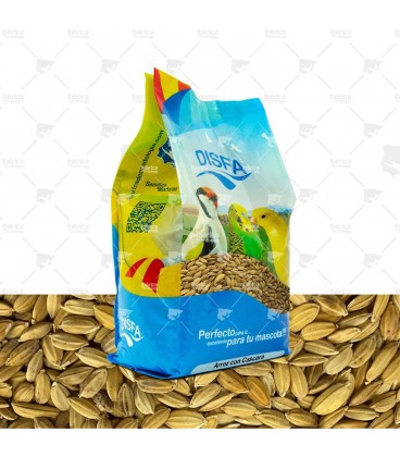 Arroz con Cascara Disfa