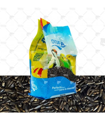 Negrillo Disfa