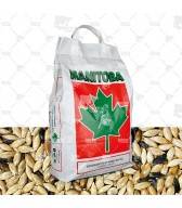 Mxt. Canarios T3 Sin Perilla (Manitoba): Mixtura de semillas para evitar coloraciones indeseadas en el plumaje de Canários