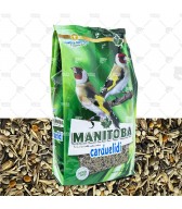 Mxt. Jilgueros Carduelidi + Chia & Quinoa (Manitoba): Mixtura calidad extra especial Jilgueros Mayor