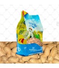 Cacahuetes (Disfa), fruto seco de alto valor energético para aves Psitácidas ideal para épocas invernales.