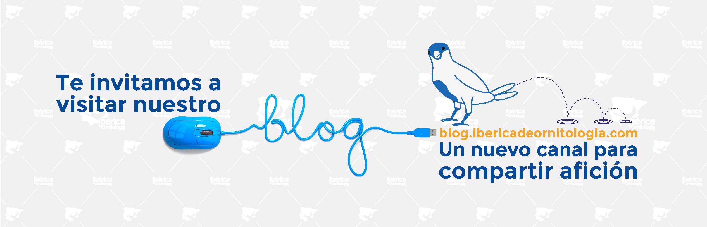 Blog Ibérica de Ornitología